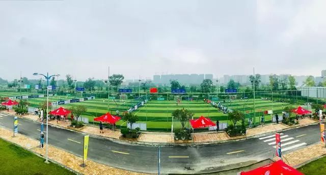 2023年熊猫夏令营,2019熊猫夏令营