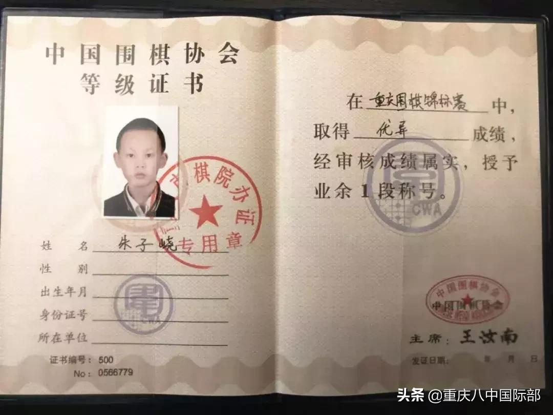 八中国际部｜群星闪耀之朱子峣：心有猛虎，细嗅蔷薇