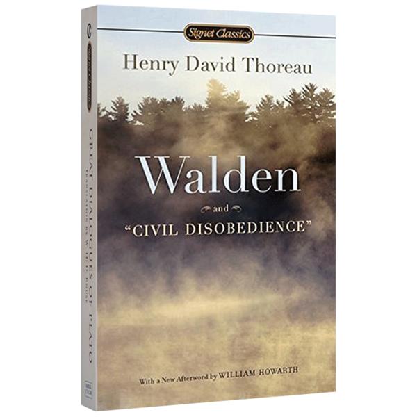 甘地提出非暴力不合作的原因,甘地非暴力不合作运动的历程