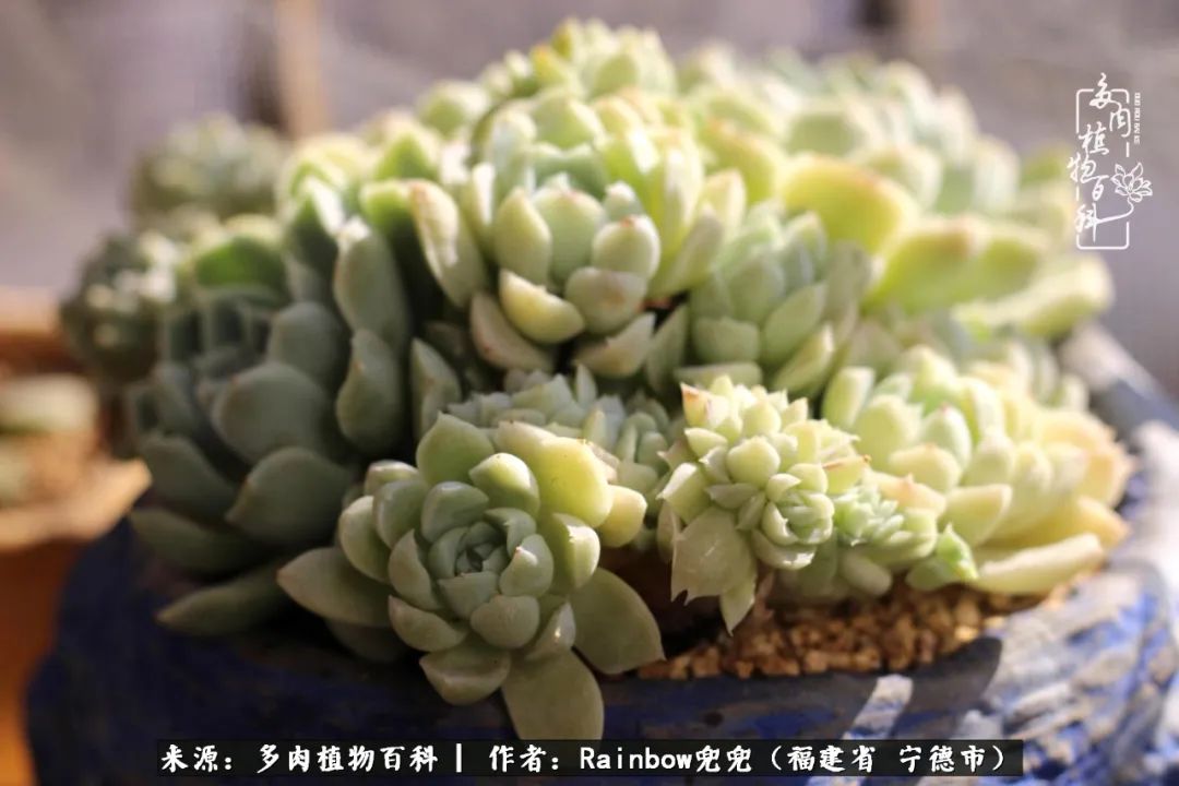 岁月无波澜余生不悲欢是啥意思,愿你岁月无波澜敬我余生无悲欢