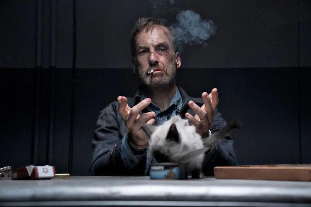 必看R级*片爽**：90分钟见证一个猫咪手镯引发的“*案惨**”