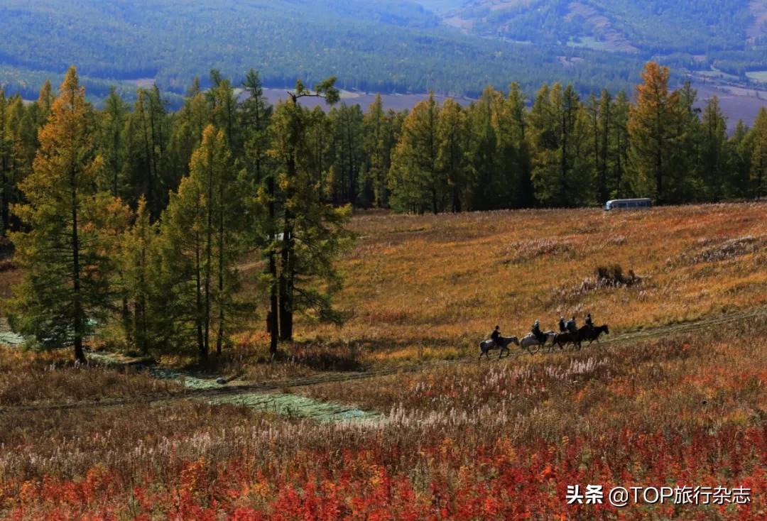 猝不及防,2020进度条已拉到50%!下半年最佳旅行时间表出炉,在最合适的时间去遇见对的风景吧