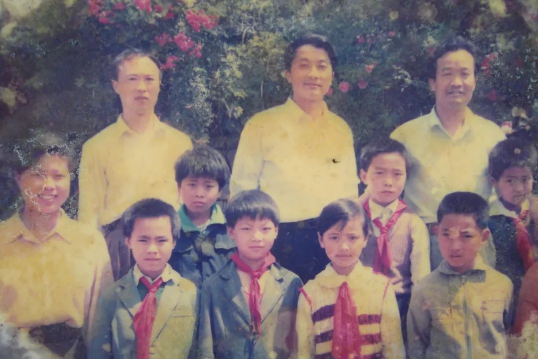 临安最好的小学是哪个,临安小学入学要求