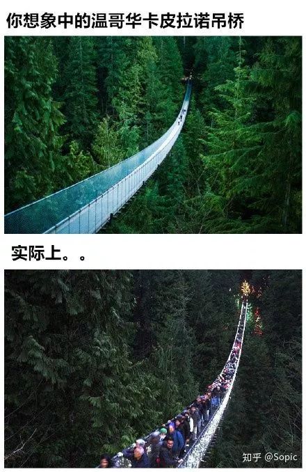 tiffany8万的钢丝球,tiffany钢丝球为啥这么贵