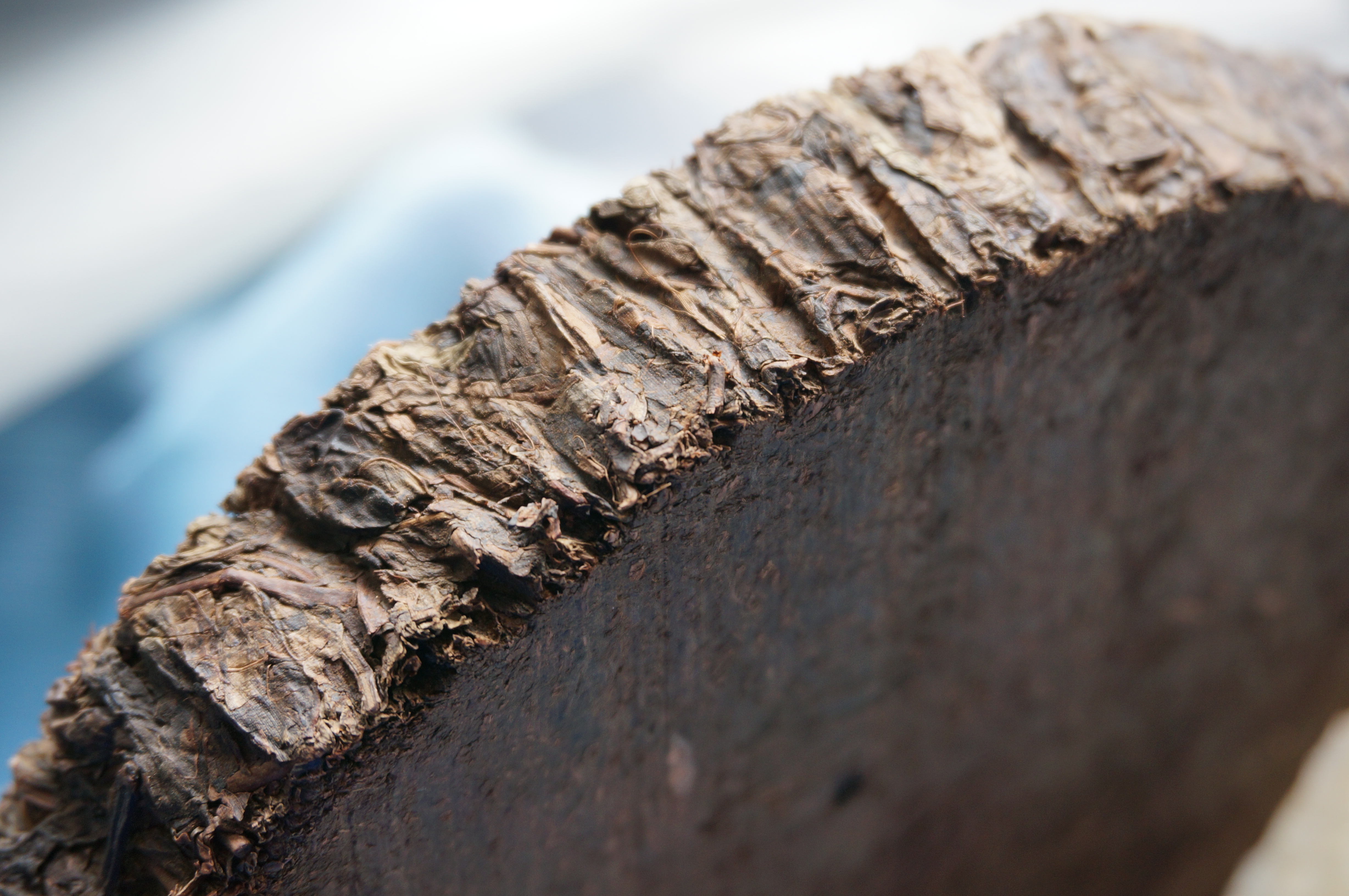 你所不知道的黑茶，于粗梗老叶中释放茶之本味