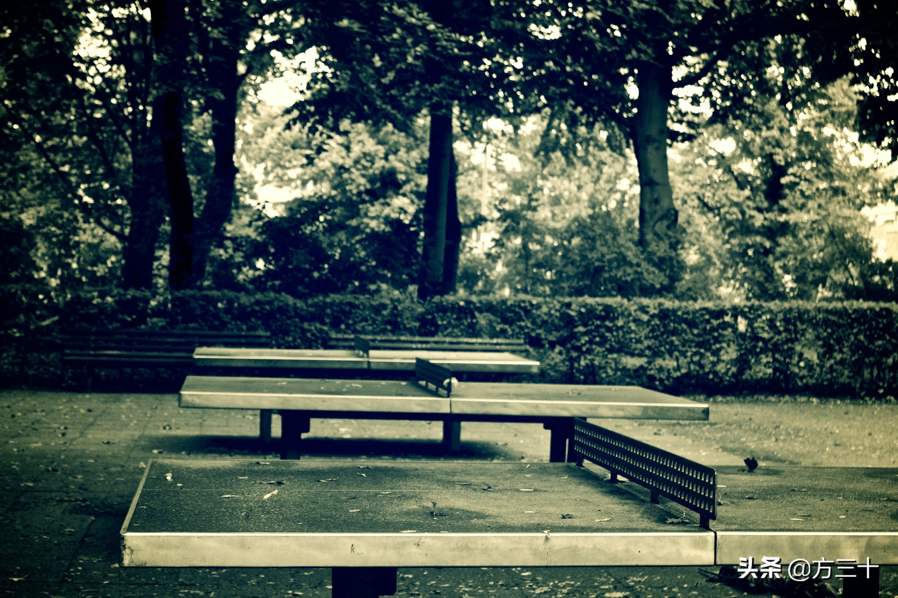 纪念一下环东湖,以及我的青春,骑行、乒乓、足球