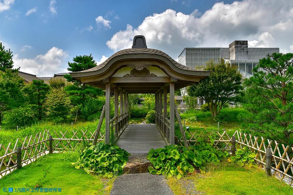 日本的茶博物馆,日本茶之都茶道体验
