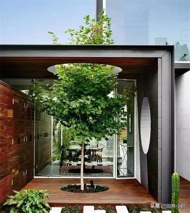 室内景观设计的基本步骤,极简风格室内小型景观设计