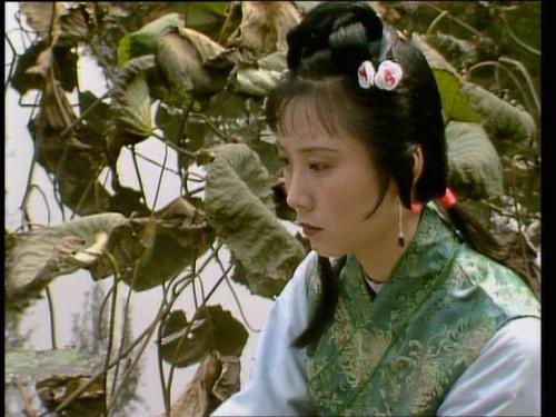 红楼梦中的鸳鸯最后的结局,红楼梦鸳鸯深度解析