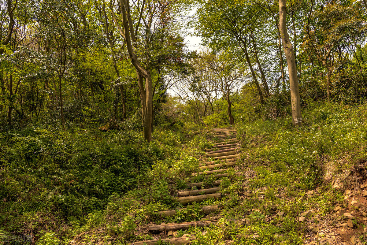 赞美老师的古诗大全四句,赞美老师的诗句古诗大全