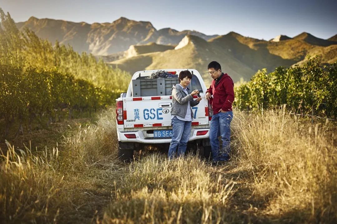 中国造葡萄酒,中国制造的葡萄酒