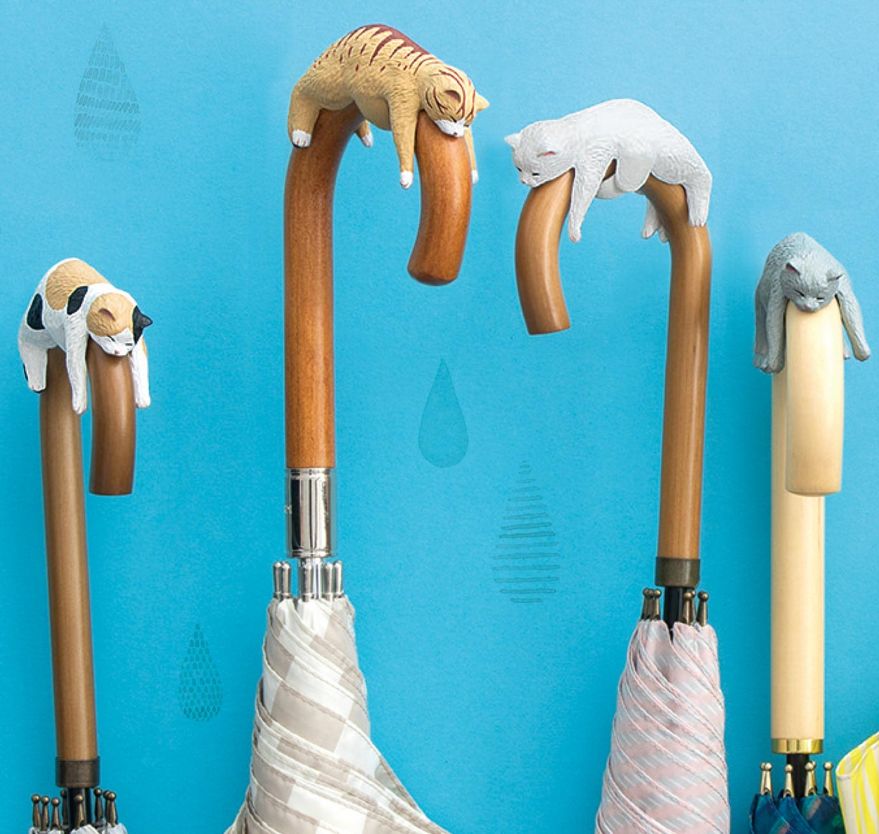 日本人又来骗猫奴们的钱啦!但我心甘情愿掏钱了!