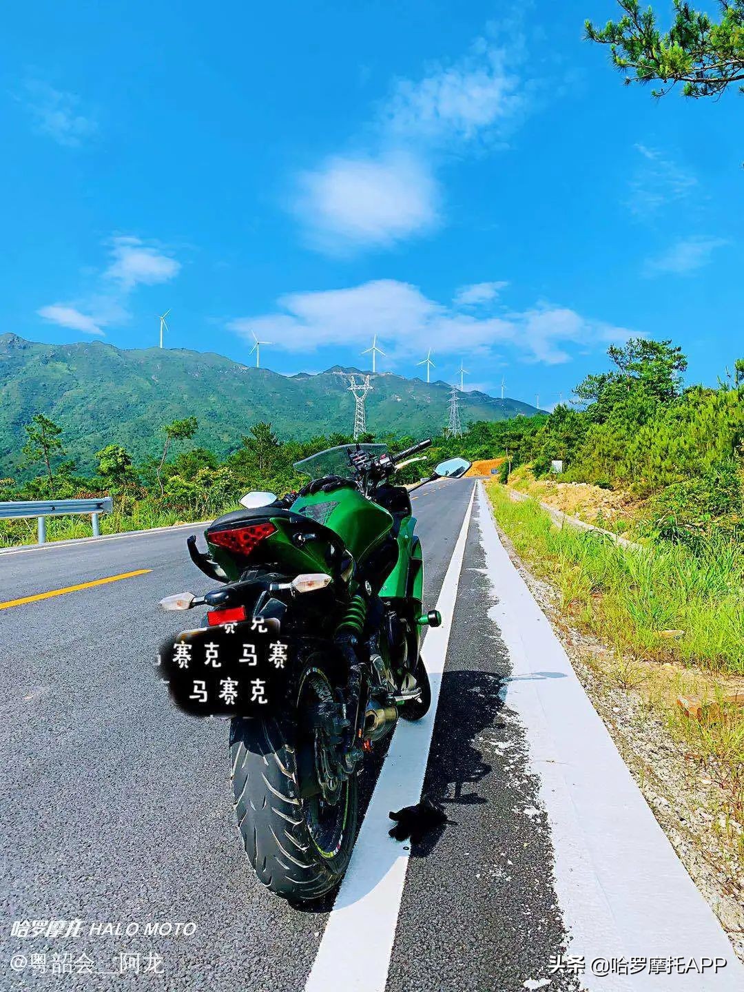 上路半年，换了4台车！从国产到大贸用车体验