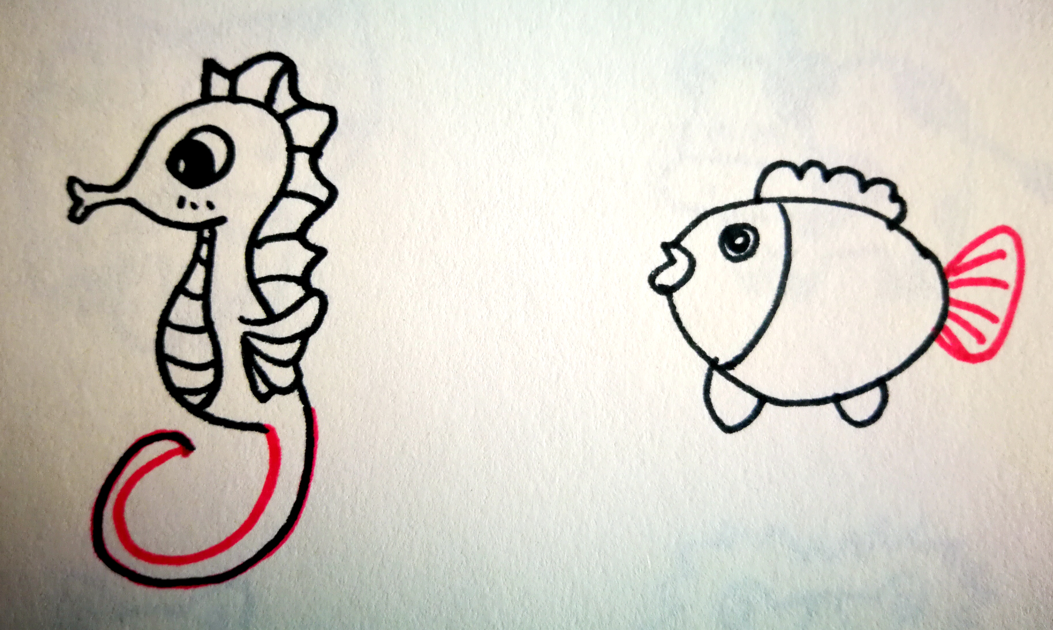 画一画你知道的小动物和本领,说一说画一画小绵羊的尾巴像什么