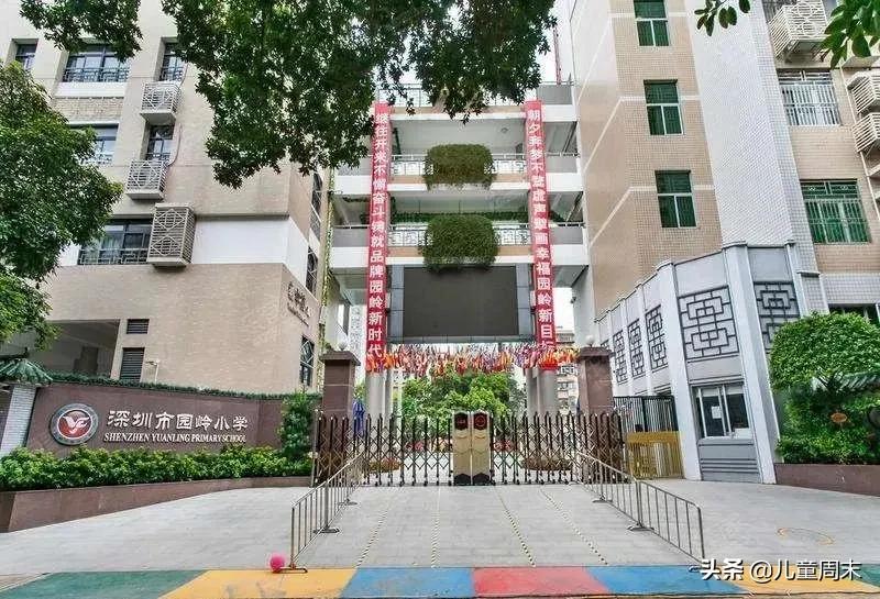 深圳十大顶级小学,深圳10大顶级小学