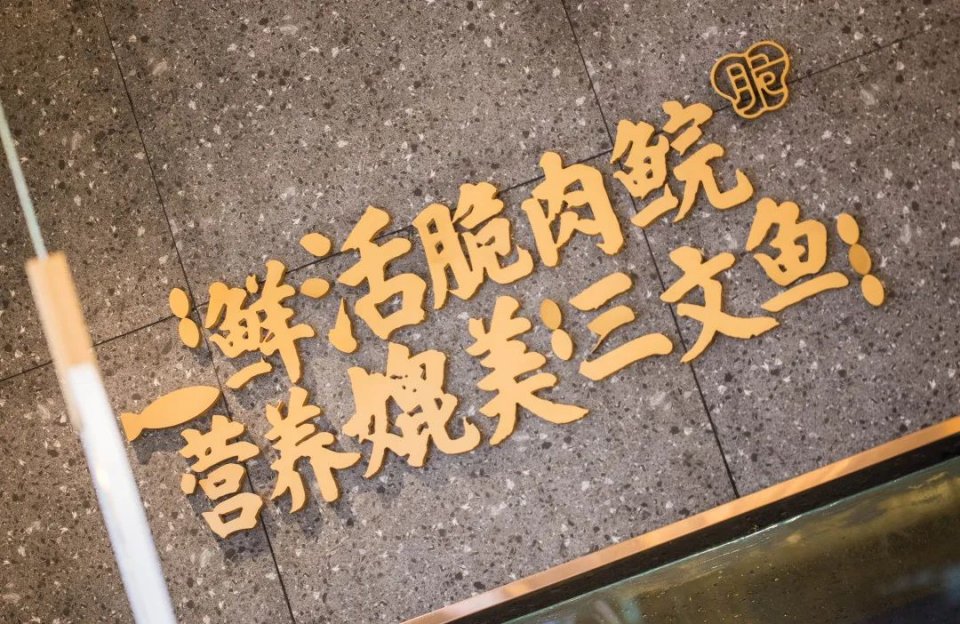 广州好吃的脆肉鲩鱼火锅,顺德人不多的鱼生