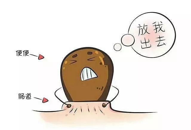 便秘的主要因素,女性便秘发病率高