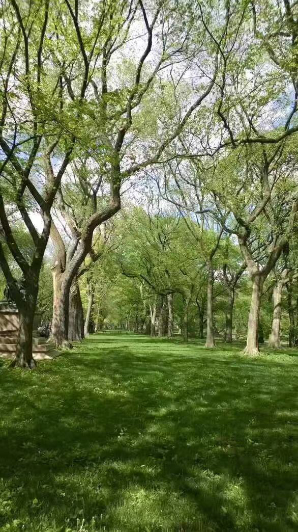 美国留学理工科好专业,美国加州学院留学条件