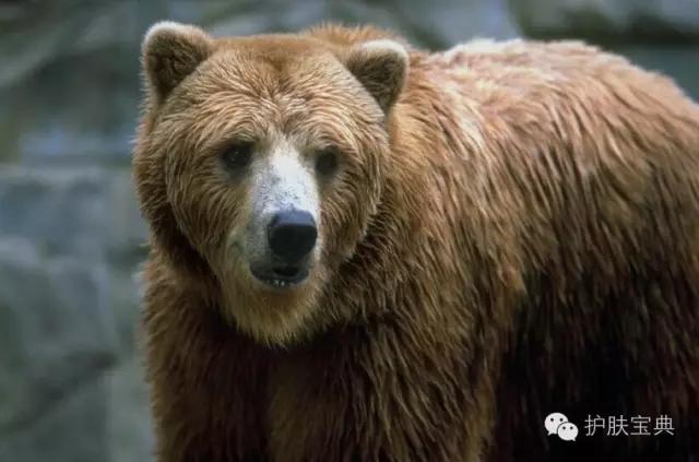 带你了解斑点产生原因,科普斑点治疗