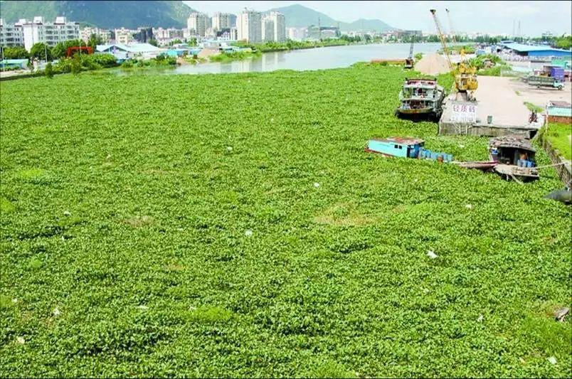 全民国家安全教育日保护公众健康,4.15全民国家安全教育日主题宣传