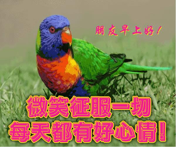 早上好祝福语会动的早上好图片,最新早上好问候祝福语图片图文