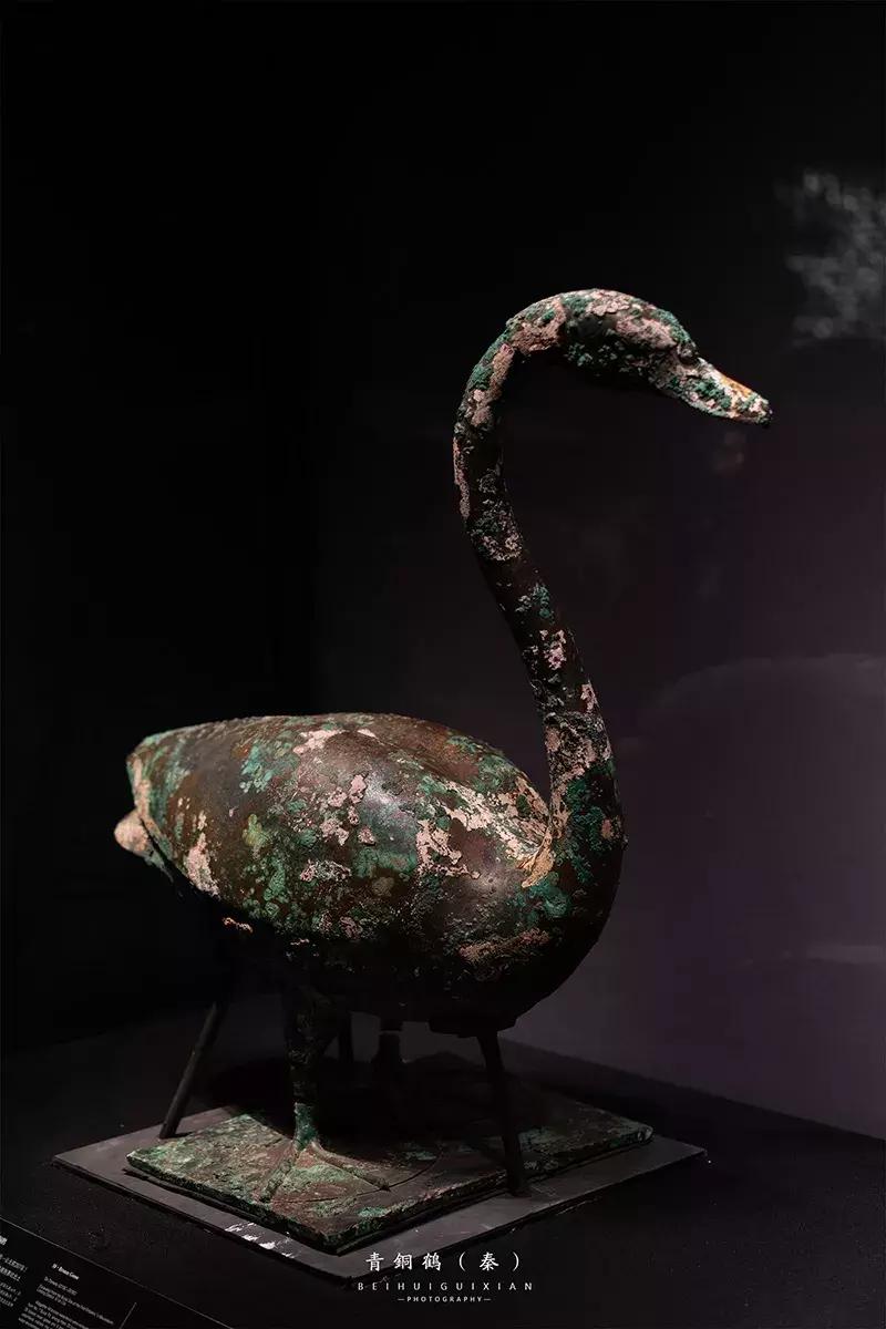 陕西历史博物馆唯美视频,陕西历史博物馆视频高级感