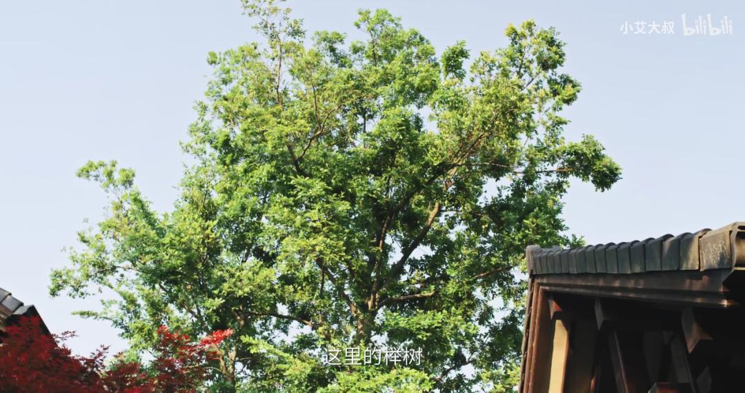 顶级轻奢豪宅屏风隔断,1.58亿豪宅