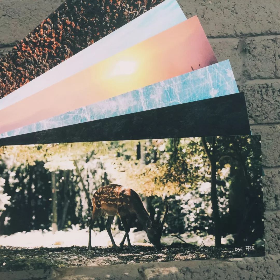 游侠客能脱单吗,游侠客脱单