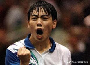 刘国梁年薪奖金,刘国梁乒协主席年薪