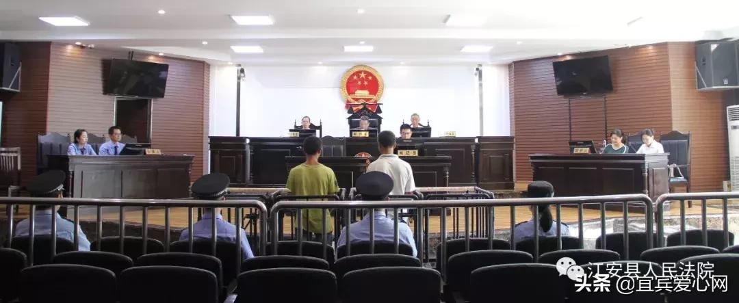 长记性啦,为啥在宜宾不能乱捕泥鳅黄鳝?江安县法院有话说