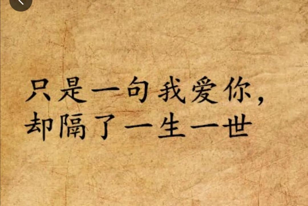 一个人不结婚的话,一个人不结婚