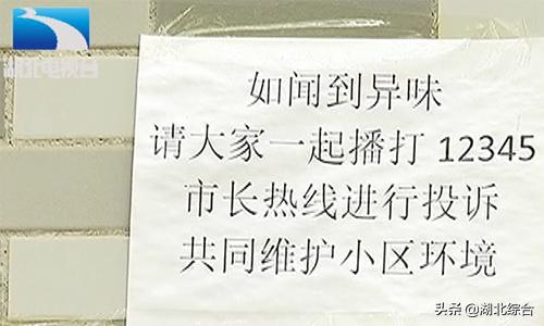 小区底商汽车修理厂喷漆扰民,汽修厂油漆味扰民怎么投诉