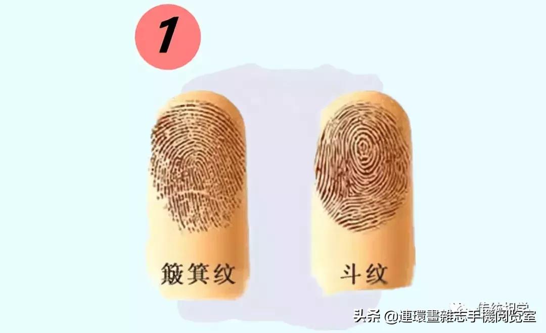 手上有几个斗最好,手上几个斗有福十个簸箕