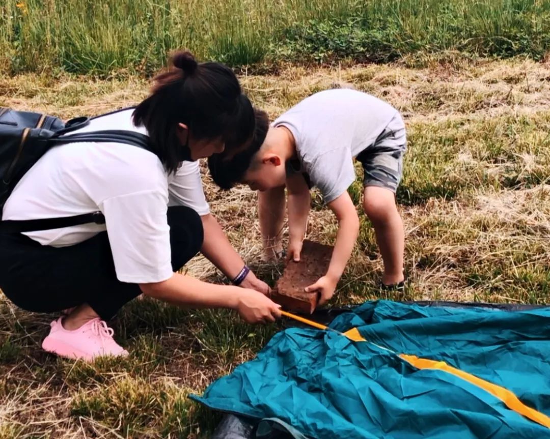紫薇园宿州露营音乐节,中华紫薇园露营