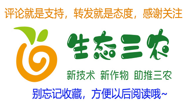 灵芝有哪些特性,灵芝的生长环境在什么地方