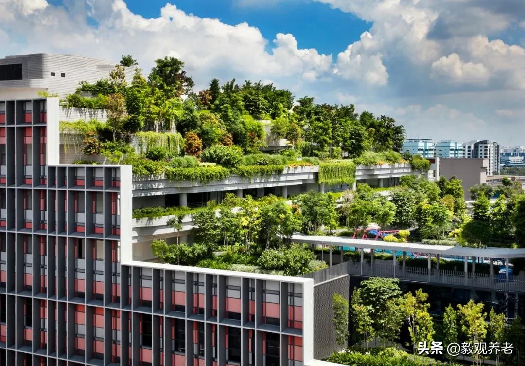 新加坡养老服务专业,新加坡有好的养老社区吗