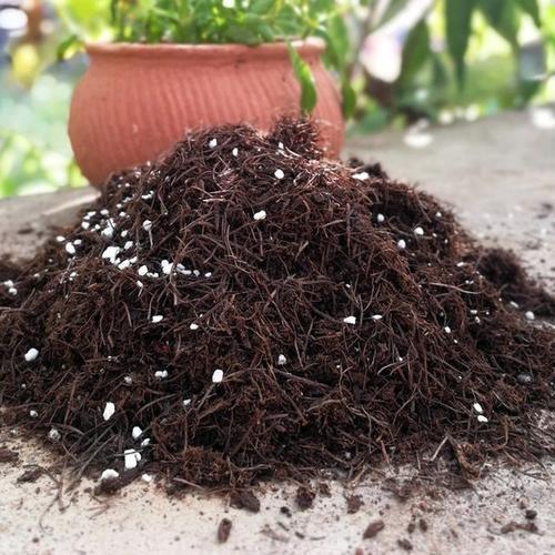 养花根太细是怎么回事,养花烂根是怎么回事