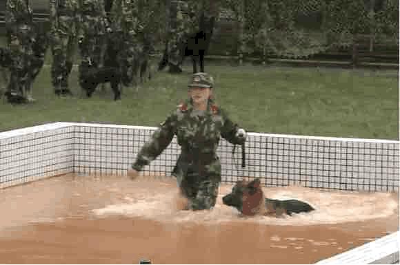 风水轮流转张馨予,风水轮流转女明星