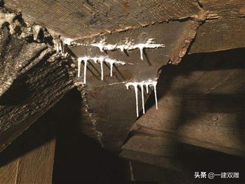 混凝土表面起灰怎么回事,混凝土表面起白碱