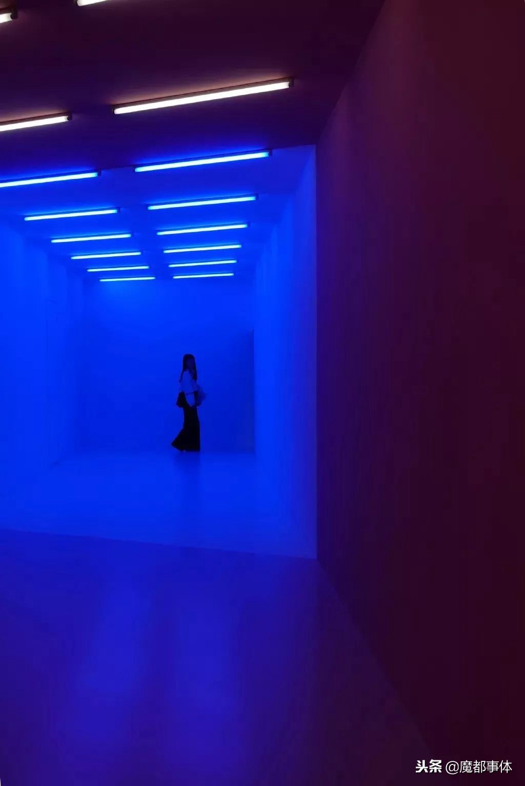 上海天安千树网红打卡点,上海打卡必去的地方排名