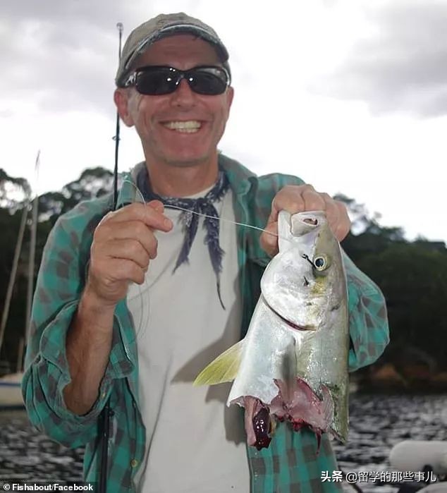 在海里遇到鲨鱼怎么才可以逃生,在海里碰到鲨鱼怎么办