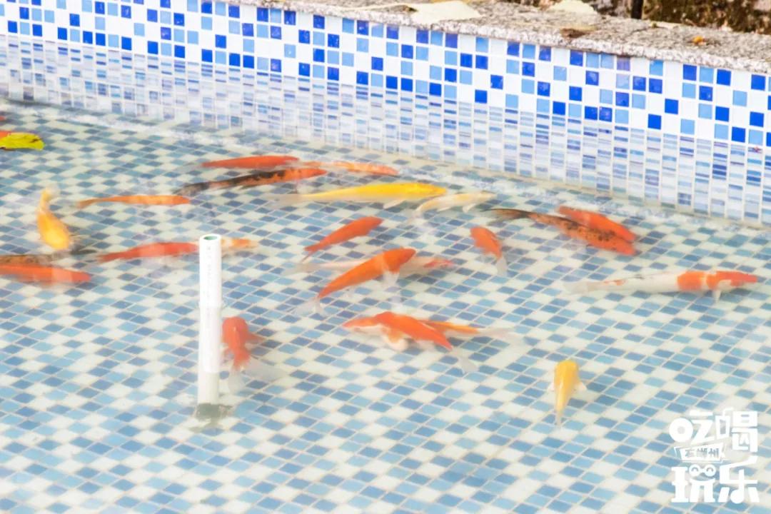 郴州城东公立幼儿园,郴州的公办幼儿园有哪些