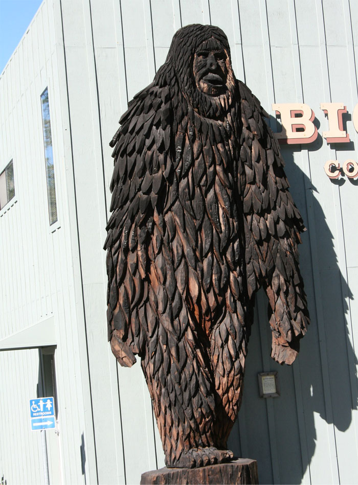 国外的奇葩法律冷知识,外国那些让人讨厌的奇葩法律