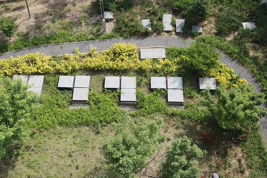 甲状腺疾病碘131,北京霍普医院碘131费用