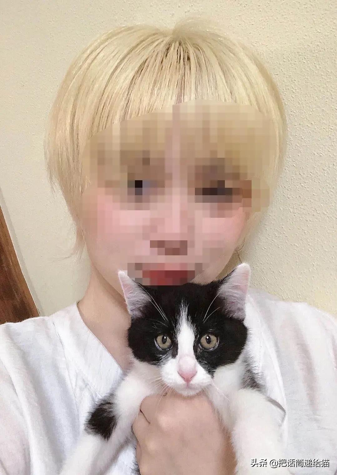 虐猫后良心发现加价“*养送**”？在日本领养流浪猫没你想的那么美好