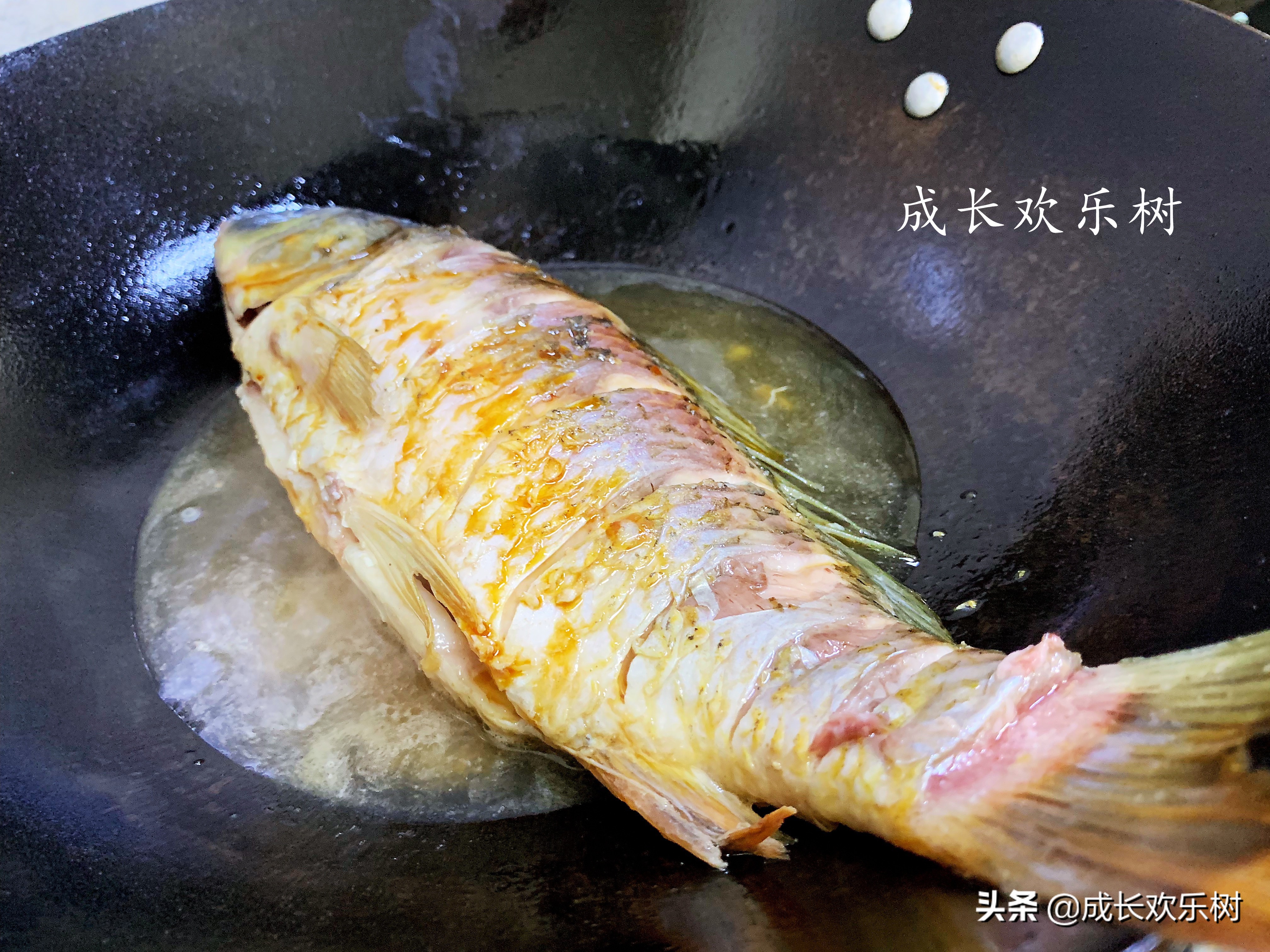 鲫鱼鱼腥味太重怎么处理,鲫鱼腥味怎么去除