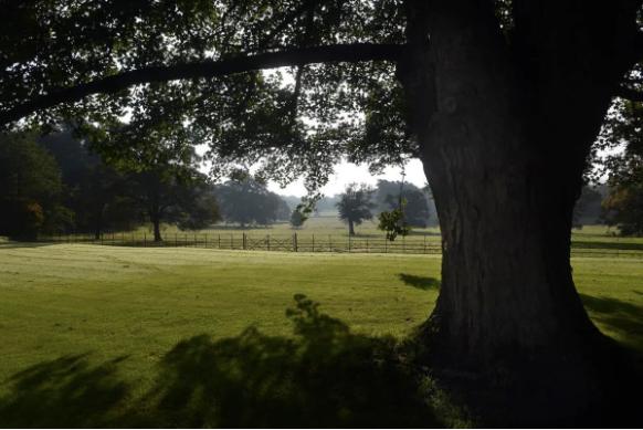 英国伦敦50亩的庄园别墅出售,英国300亩庄园出售