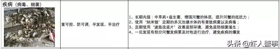 青蟹脱壳就死什么原因,河蟹无壳伤亡原因与处理