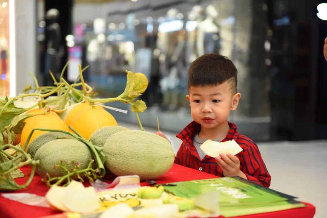 开封市农业产品展销会,濮阳万达农产品展销会直播