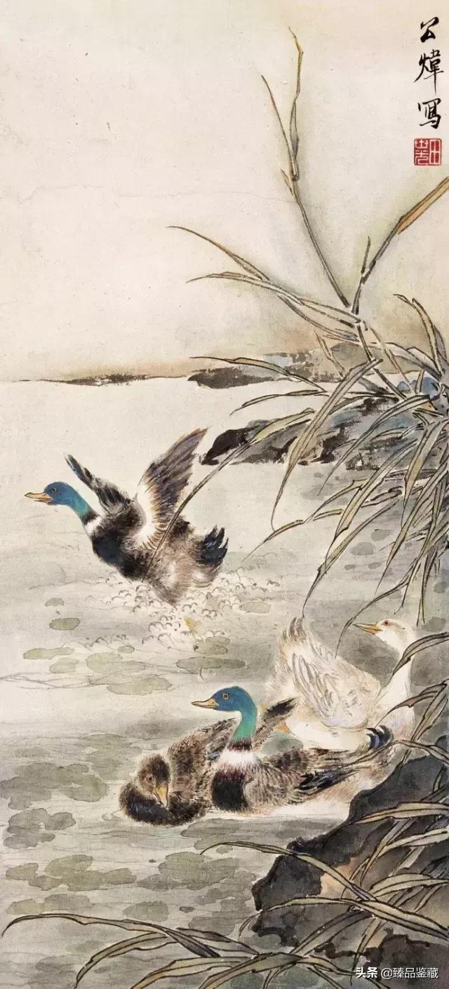 工笔大师田世光,工笔画大师田世光画孔雀好美